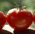 pp382f2b5b_1b.jpg