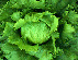 pp80f533d9_1b.jpg